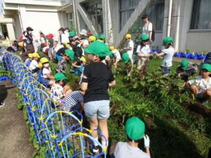 鶴ヶ島第一小学校 セール ラッシュガード