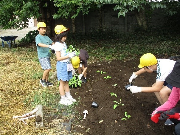 なかよし苗植え０１.jpg