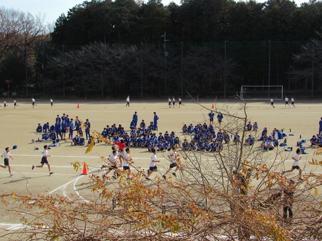 https://tsurugashima.schoolweb.ne.jp/1120024/blog_img/171825247?tm=20241223115337