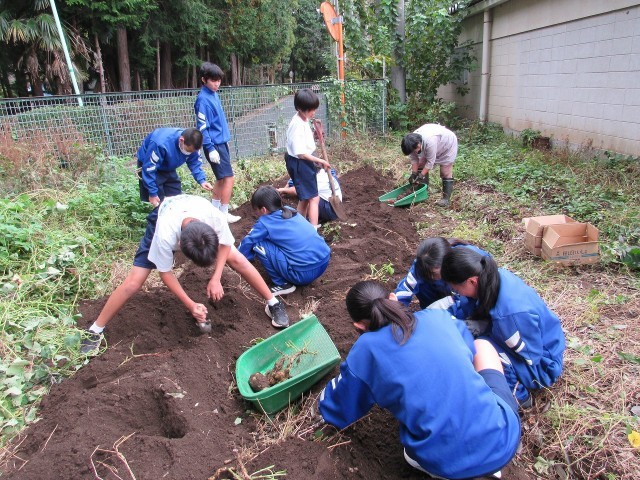 https://tsurugashima.schoolweb.ne.jp/1120024/blog_img/54396465?tm=20241106200823